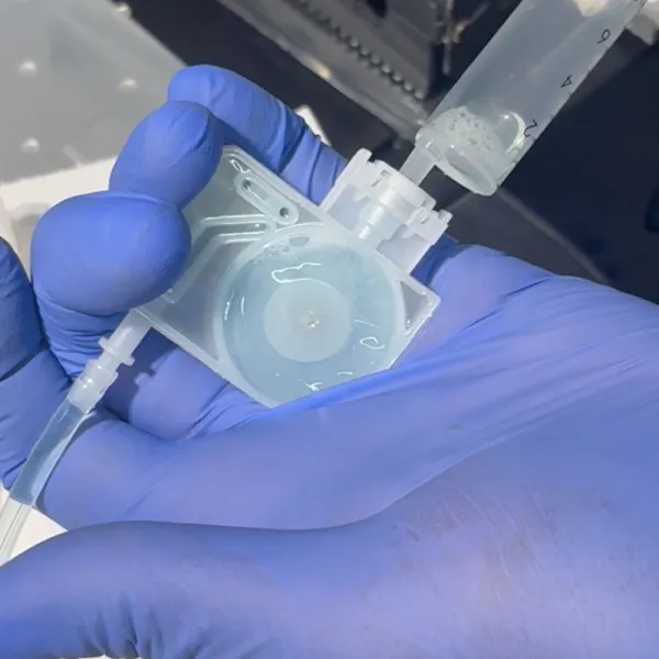 Mantenimiento impresora DTF