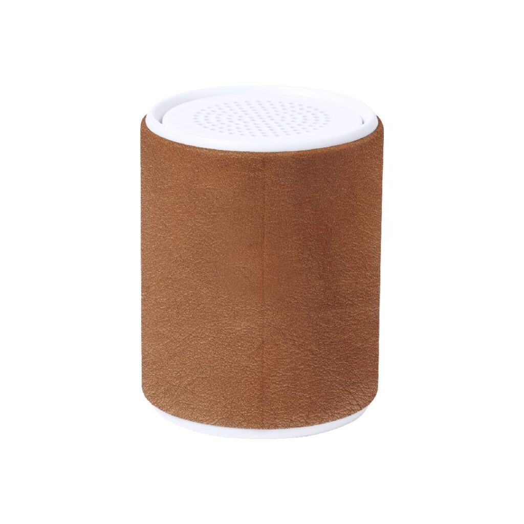 Altavoz Sotep RCS para personalizar