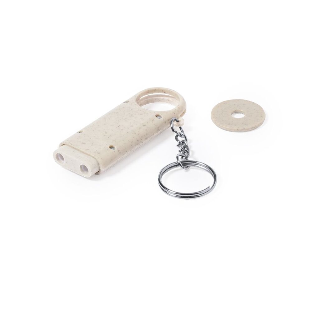 Llavero Moneda Evelyn para personalizar