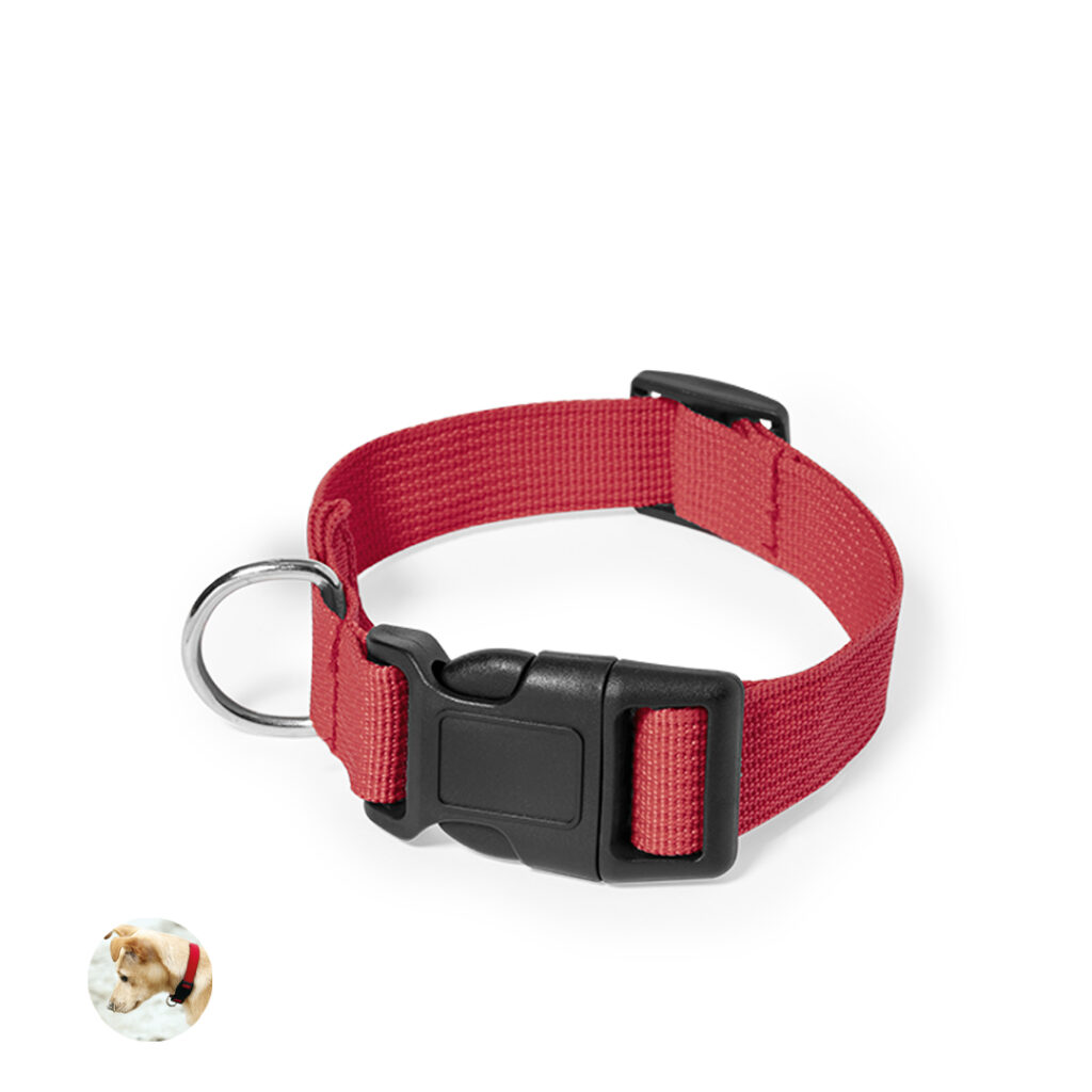 Collar Mastif para personalizar