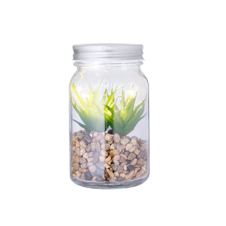 Planta Decorativa Kyala para personalizar
