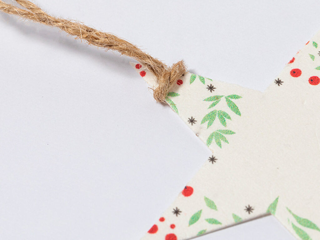 Adorno Semillas Boster - detalle 2