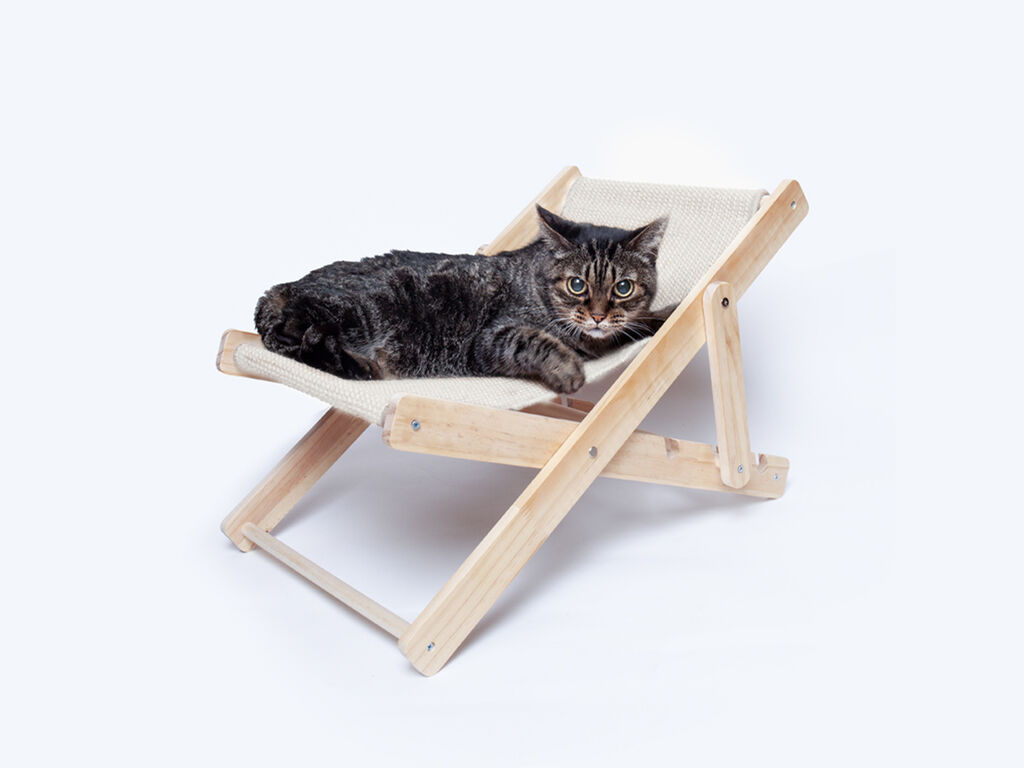 Silla Mascotas Diny - detalle 1
