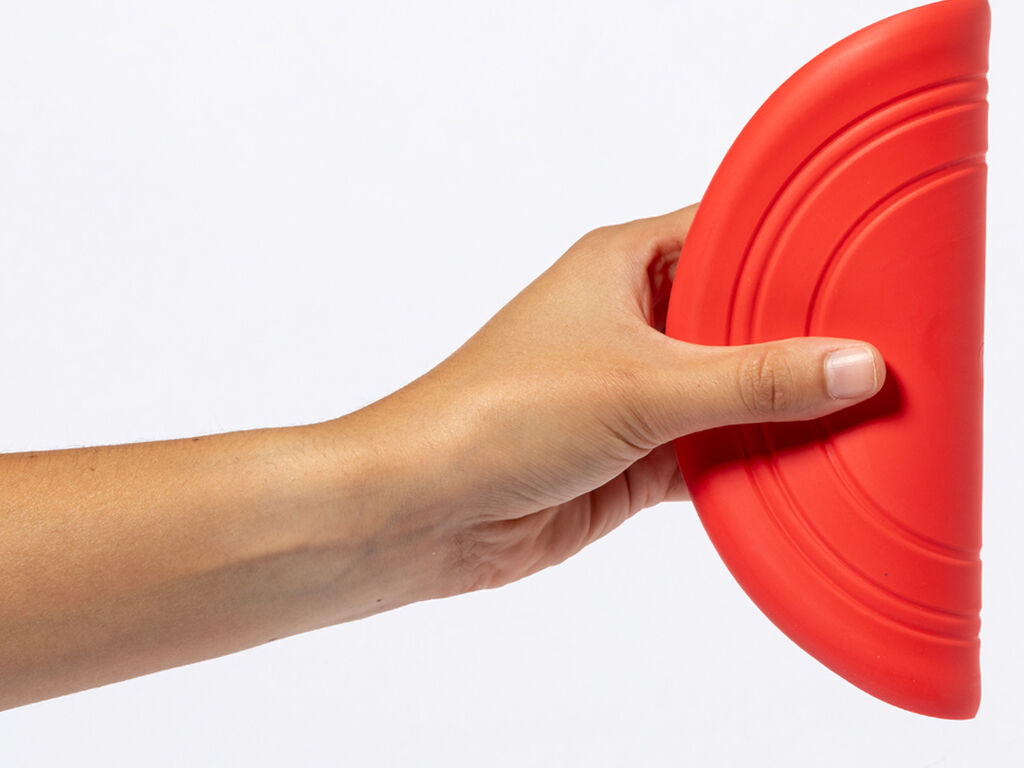 Frisbee Girud - detalle 2