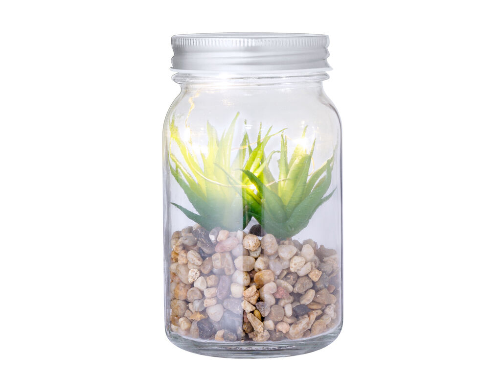 Planta Decorativa Kyala - detalle 1