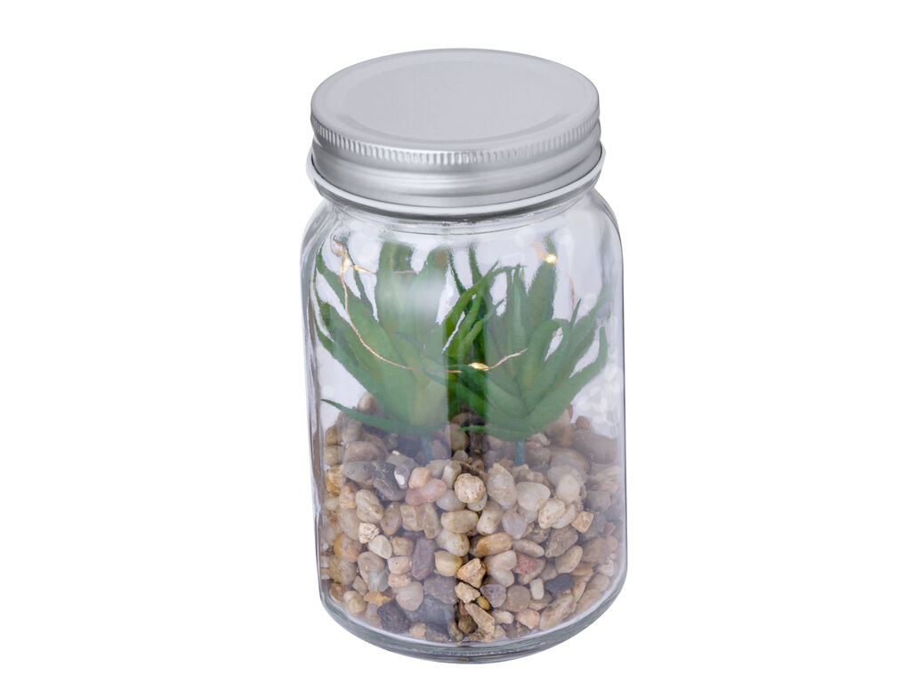 Planta Decorativa Kyala - detalle 2