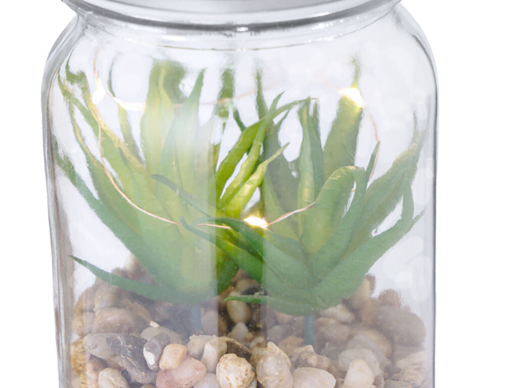 Planta Decorativa Kyala - detalle 3