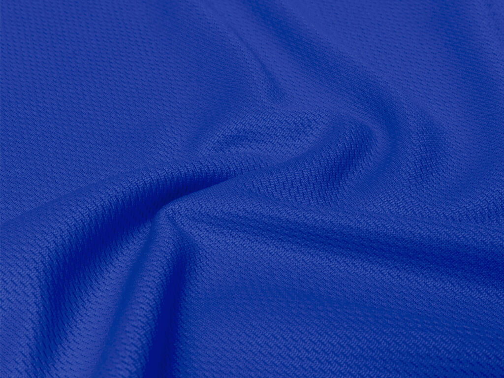 Polo Tecnic Ratlam - detalle 4