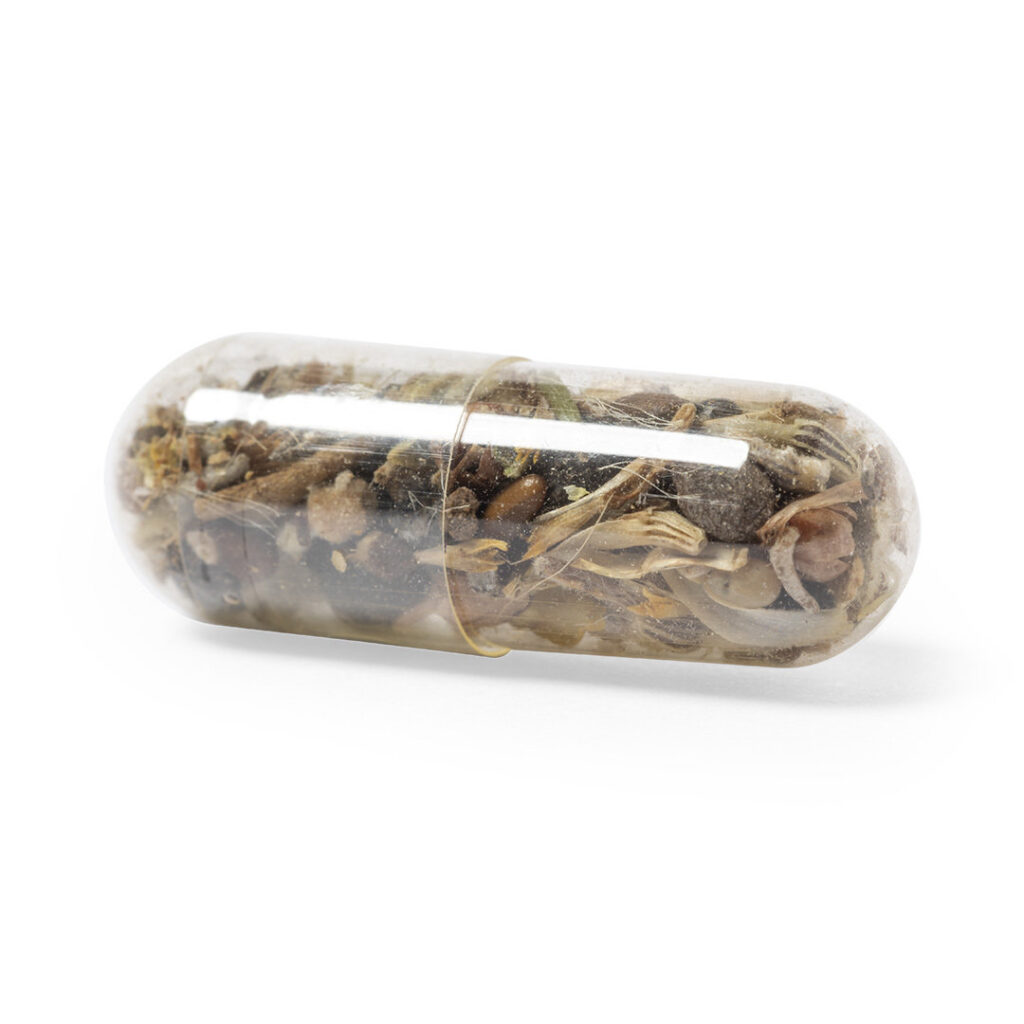 Capsula Semillas Biyok - detalle 1