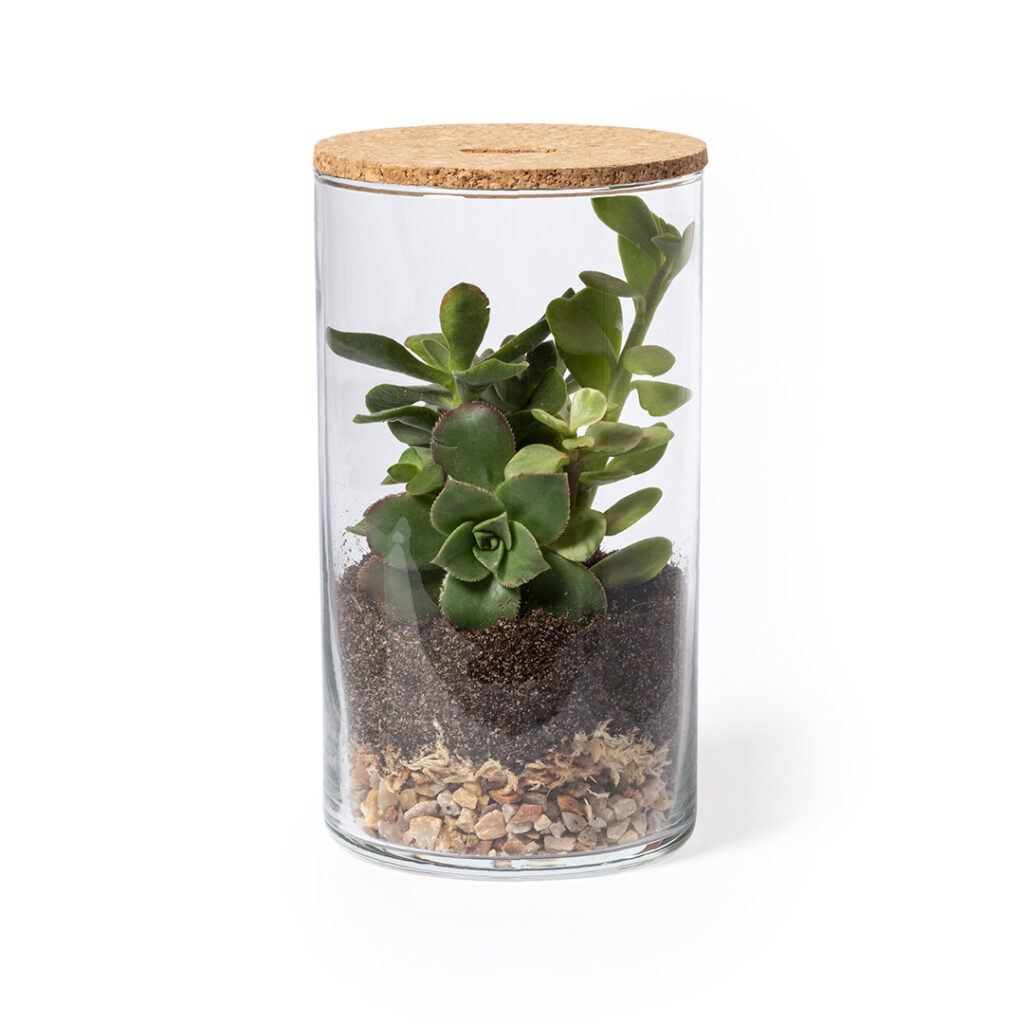 Terrarium Anymak - detalle 1