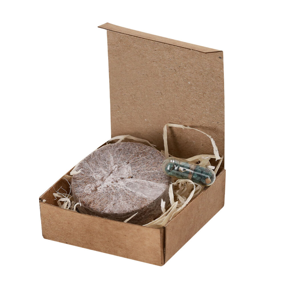 Pack Plantable Aquael - detalle 1