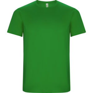 Verde Helecho