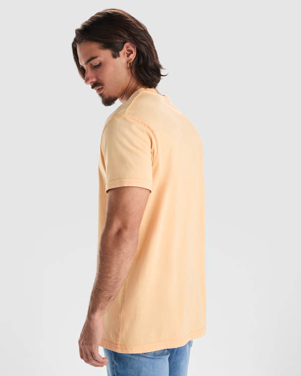 Camiseta Roly Corgi detalle